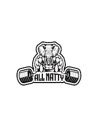 ALL NATTY logo