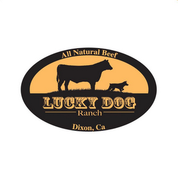 ALL NATURAL BEEF LUCKY DOG RANCH DIXON,CA logo