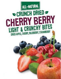 ALL-NATURAL CRUNCH DRIED CHERRY BERRY LIGHT & CRUNCHY BITES DRIED APPLE, CHERRY, BLUEBERRY, STRAWBERRY logo