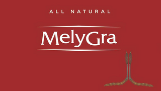 ALL NATURAL MELYGRA logo