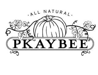 ALL NATURAL PKAYBEE logo