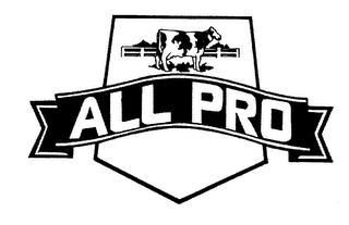 ALL PRO logo