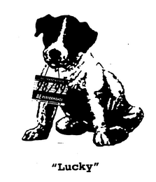 ALL SEASON PASS 98/99 AE PERFORMANCE "LUCKY" logo