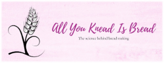 ALL YOU KNEAD IS BREAD THE SCIENCE BEHIND BREAD MAKING logo