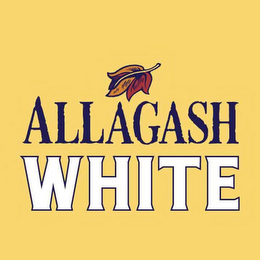 ALLAGASH WHITE logo