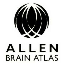 ALLEN BRAIN ATLAS