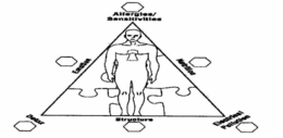ALLERGIES/SENSITIVITIES NUTRITION ELECTRICAL POLLUTION STRUCTURE TOXINS EMOTION logo