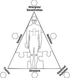 ALLERGIES/SENSITIVITIES NUTRITION ELECTRICAL POLLUTION STRUCTURE TOXINS EMOTION logo