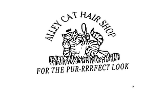 ALLEY CAT HAIR SHOP FOR THE PUR-RRRFECT LOOK logo