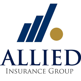 ALLIED INSURANCE GROUP logo