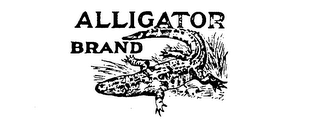 ALLIGATOR BRAND