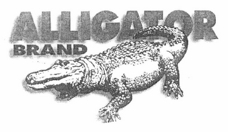 ALLIGATOR BRAND logo