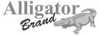 ALLIGATOR BRAND logo