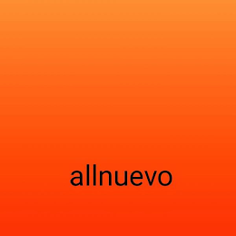 ALLNUEVO logo