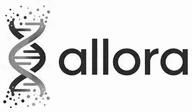 ALLORA logo