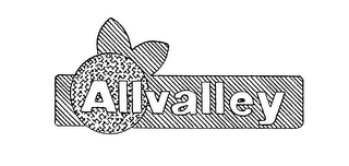 ALLVALLEY logo