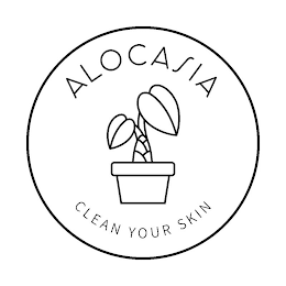 ALOCASIA CLEAN YOUR SKIN logo