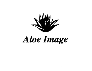 ALOE IMAGE logo