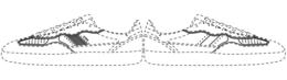 ALOHAS ALOHAS logo