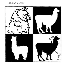 ALPACA.COM logo