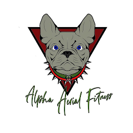 ALPHA AERIAL FITNESS logo
