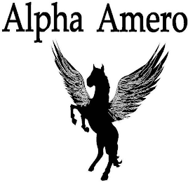 ALPHA AMERO logo