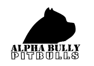 ALPHA BULLY PITBULLS logo