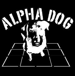 ALPHA DOG logo