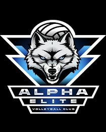 ALPHA ELITE VOLLEYBALL CLUB logo