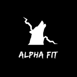 ALPHA FIT logo