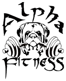 ALPHA FITNESS logo