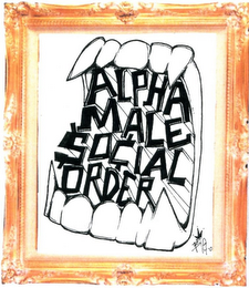 ALPHA MALE SOCIAL ORDER logo