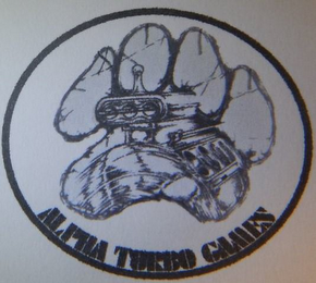 ALPHA TURBO GAMES logo