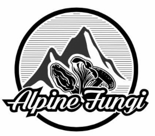 ALPINE FUNGI logo