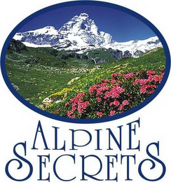 ALPINE SECRETS logo
