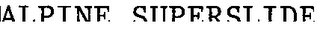 ALPINE SUPERSLIDE logo