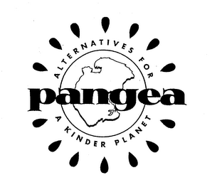 ALTERNATIVES FOR A KINDER PLANET PANGEA logo