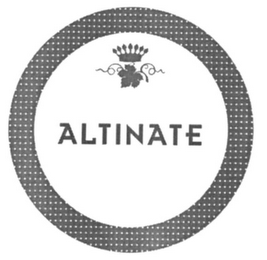 ALTINATE logo