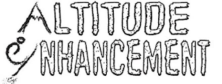 ALTITUDE ENHANCEMENT logo