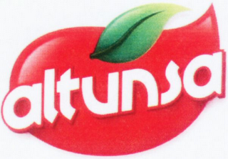 ALTUNSA logo