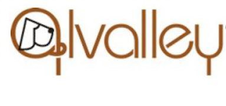 ALVALLEY logo