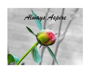 ALWAYS ASPIRE logo