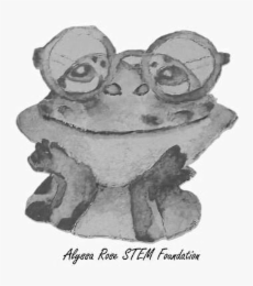 ALYSSA ROSE STEM FOUNDATION logo