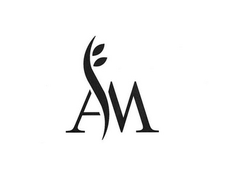 AM logo