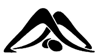AM logo