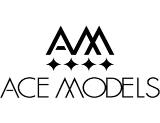 AM ACE MODELS logo