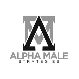 AM ALPHA MALE STRATEGIES logo