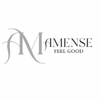 AM AMENSE FEEL GOOD logo