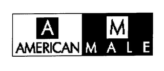 AM AMERICAN MALE logo
