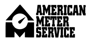 AM AMERICAN METER SERVICE logo
